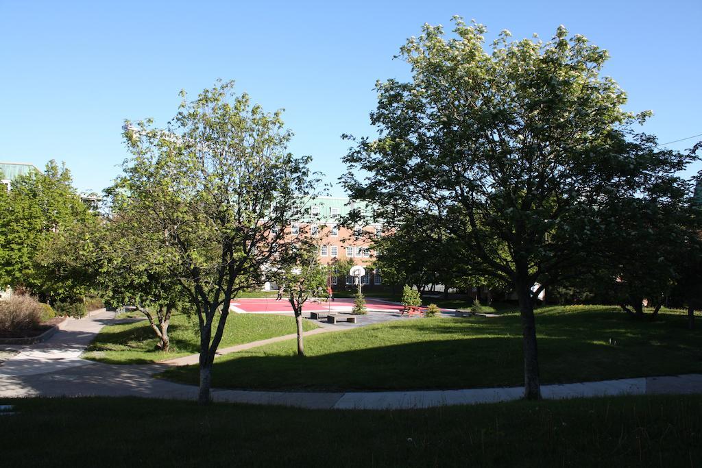 Memorial University St. John's Eksteriør billede