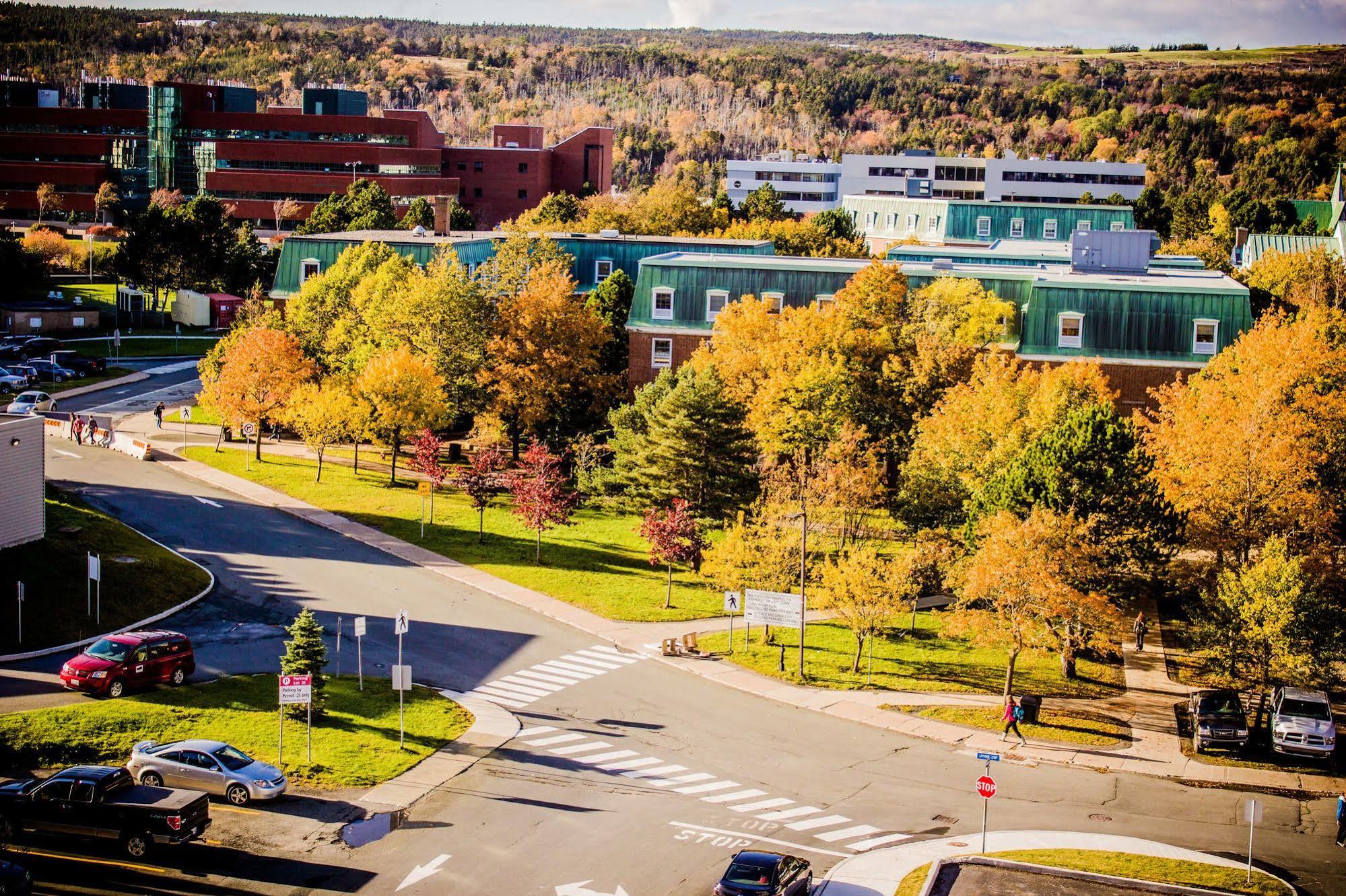 Memorial University St. John's Eksteriør billede